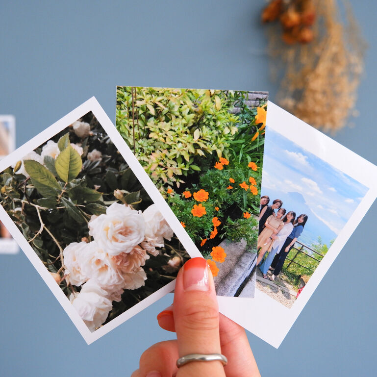 ハーフサイズプリント | ヨドバシカメラ e-Photo