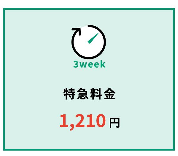 特急料金1,210円（約3週間でお届け）