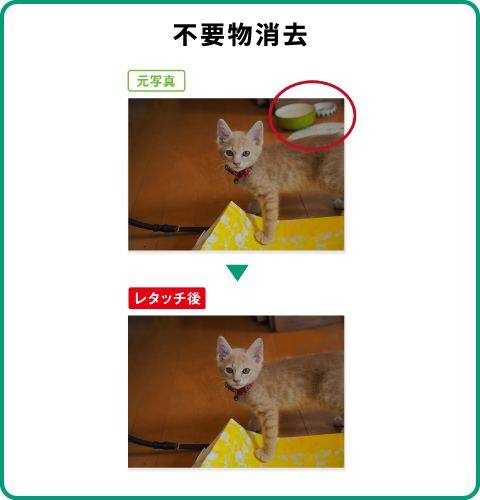 不要物消去